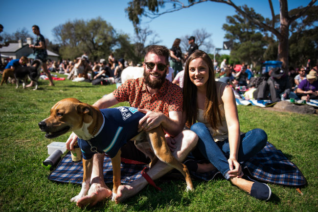 Dogapalooza crowd2 240 dpi