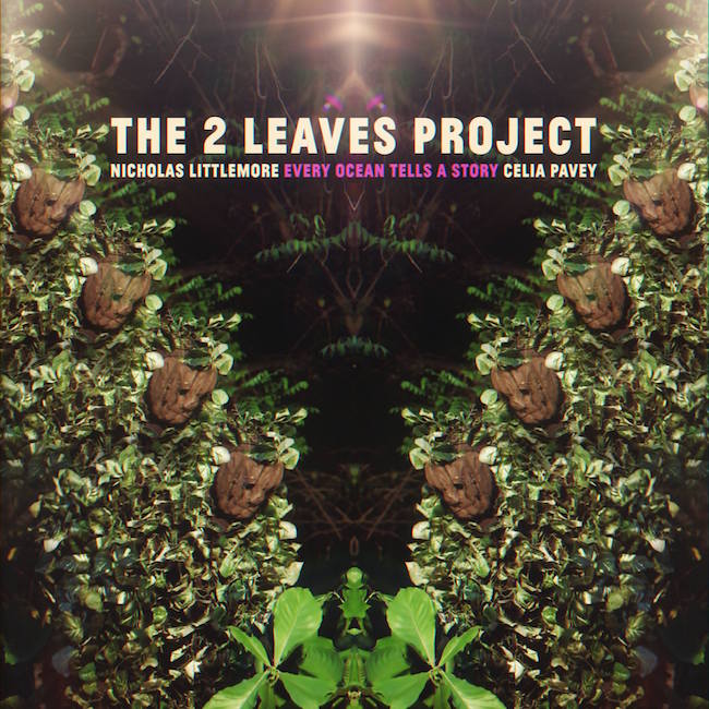 album-artwork-2-leaves-project